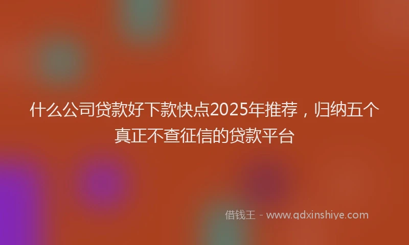 什么公司贷款好下款快点2025年推荐，归纳五个真正不查征信的贷款平台