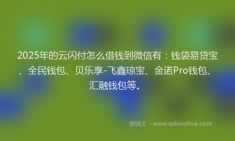 2025年的云闪付怎么借钱到微信有：钱袋易贷宝、全民钱包、贝乐享-飞鑫琼宝、金诺Pro钱包、汇融钱包等。
