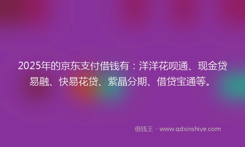 2025年的京东支付借钱有：洋洋花呗通、现金贷易融、快易花贷、紫晶分期、借贷宝通等。