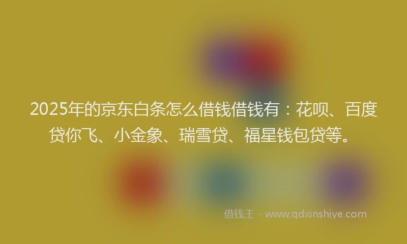 2025年的京东白条怎么借钱借钱有：花呗、百度贷你飞、小金象、瑞雪贷、福星钱包贷等。