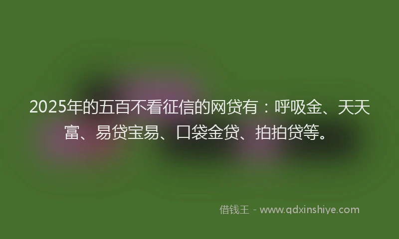 2025年的五百不看征信的网贷有：呼吸金、天天富、易贷宝易、口袋金贷、拍拍贷等。