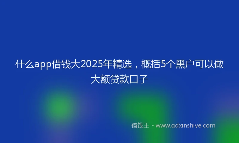 什么app借钱大2025年精选，概括5个黑户可以做大额贷款口子