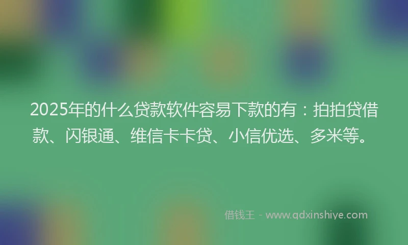 2025年的什么贷款软件容易下款的有：拍拍贷借款、闪银通、维信卡卡贷、小信优选、多米等。