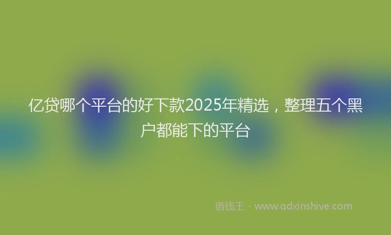 亿贷哪个平台的好下款2025年精选，整理五个黑户都能下的平台
