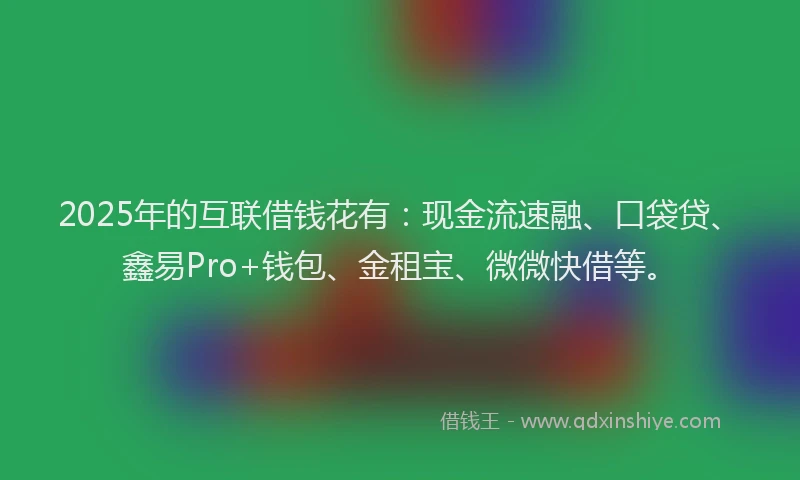 2025年的互联借钱花有：现金流速融、口袋贷、鑫易Pro+钱包、金租宝、微微快借等。