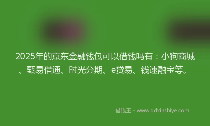 2025年的京东金融钱包可以借钱吗有：小狗商城、甄易借通、时光分期、e贷易、钱速融宝等。