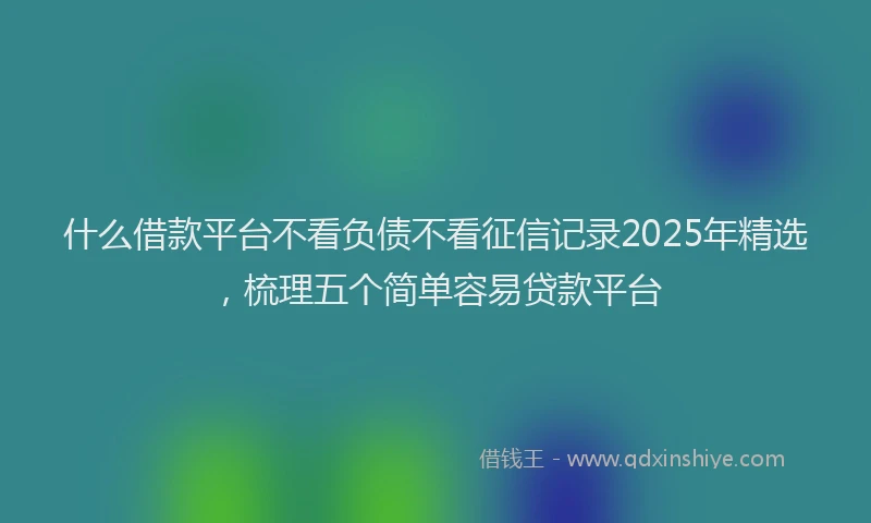 什么借款平台不看负债不看征信记录2025年精选，梳理五个简单容易贷款平台