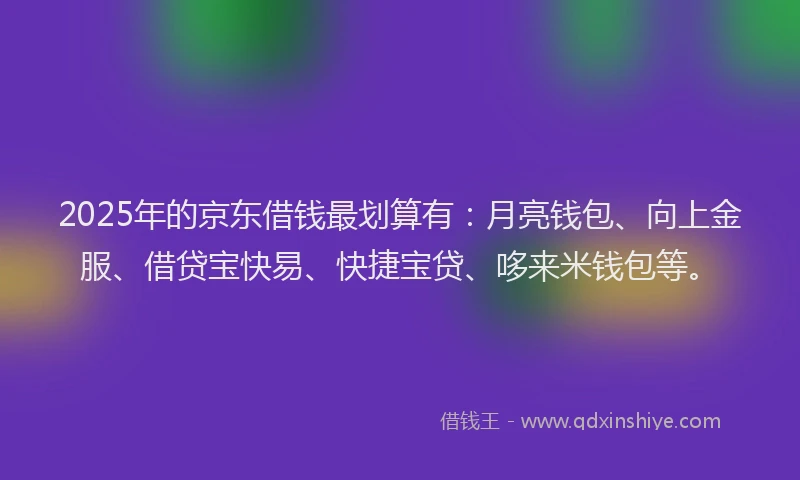 2025年的京东借钱最划算有：月亮钱包、向上金服、借贷宝快易、快捷宝贷、哆来米钱包等。