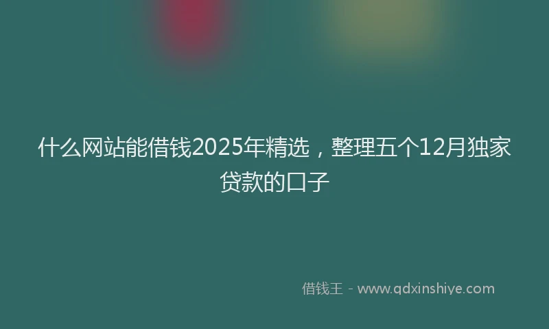 什么网站能借钱2025年精选，整理五个12月独家贷款的口子