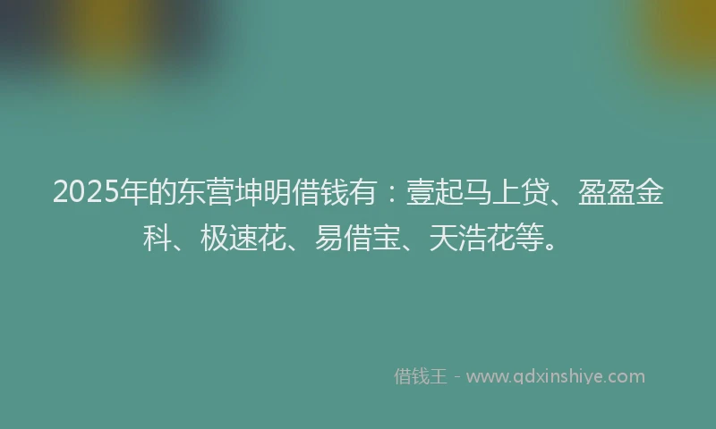 2025年的东营坤明借钱有：壹起马上贷、盈盈金科、极速花、易借宝、天浩花等。