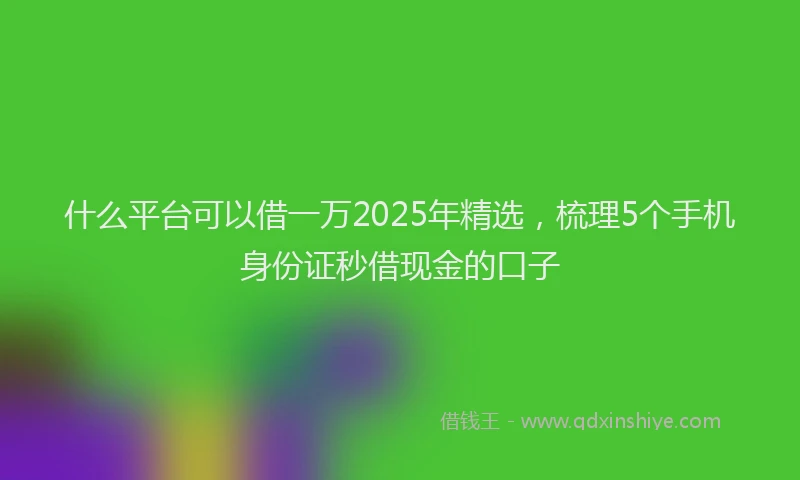 什么平台可以借一万2025年精选，梳理5个手机身份证秒借现金的口子