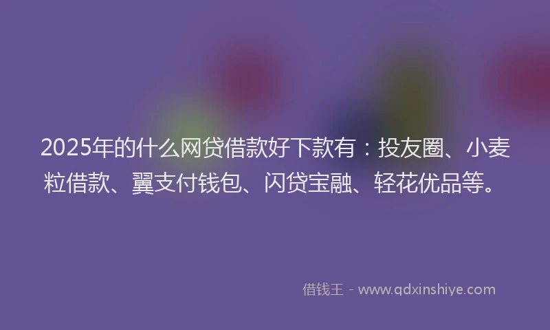 2025年的什么网贷借款好下款有：投友圈、小麦粒借款、翼支付钱包、闪贷宝融、轻花优品等。