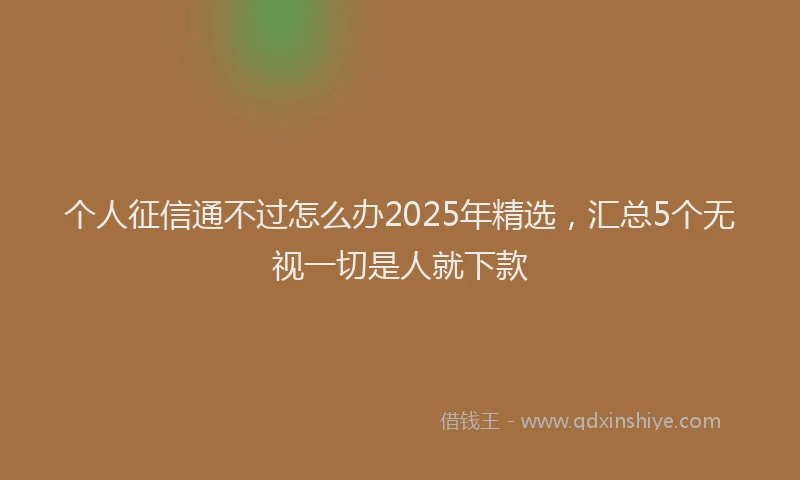 个人征信通不过怎么办2025年精选，汇总5个无视一切是人就下款