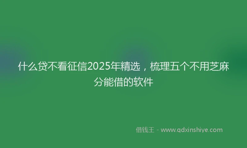 什么贷不看征信2025年精选，梳理五个不用芝麻分能借的软件