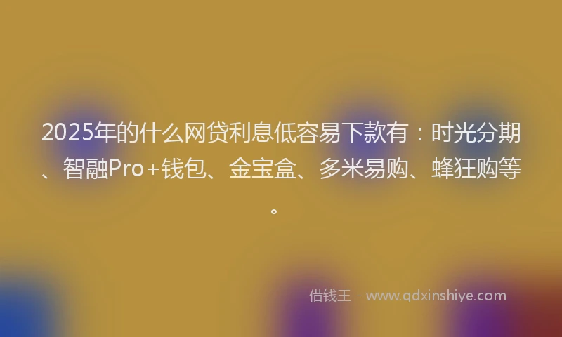 2025年的什么网贷利息低容易下款有：时光分期、智融Pro+钱包、金宝盒、多米易购、蜂狂购等。