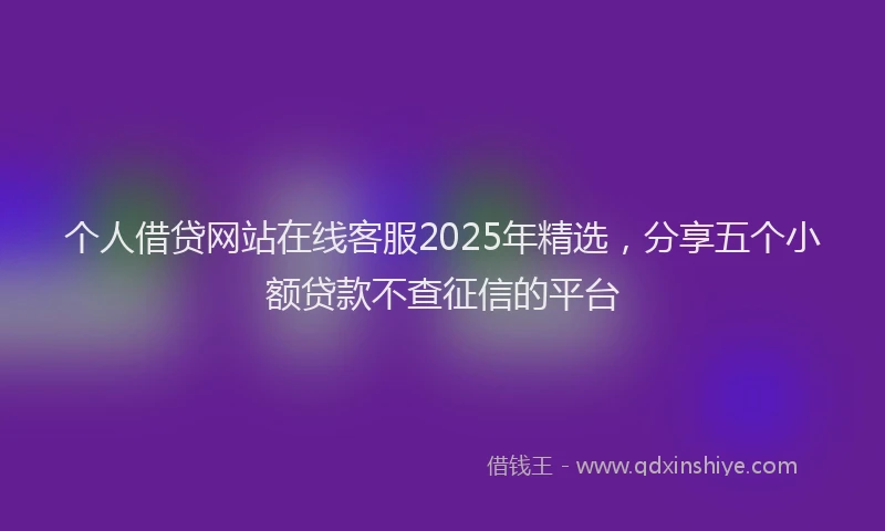 个人借贷网站在线客服2025年精选，分享五个小额贷款不查征信的平台