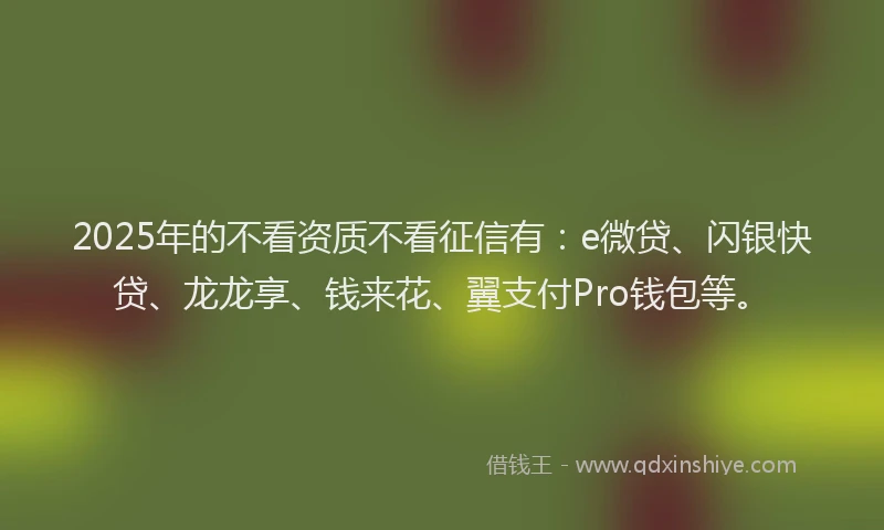 2025年的不看资质不看征信有：e微贷、闪银快贷、龙龙享、钱来花、翼支付Pro钱包等。