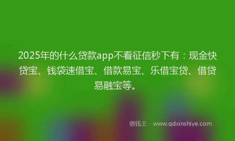 2025年的什么贷款app不看征信秒下有：现金快贷宝、钱袋速借宝、借款易宝、乐借宝贷、借贷易融宝等。