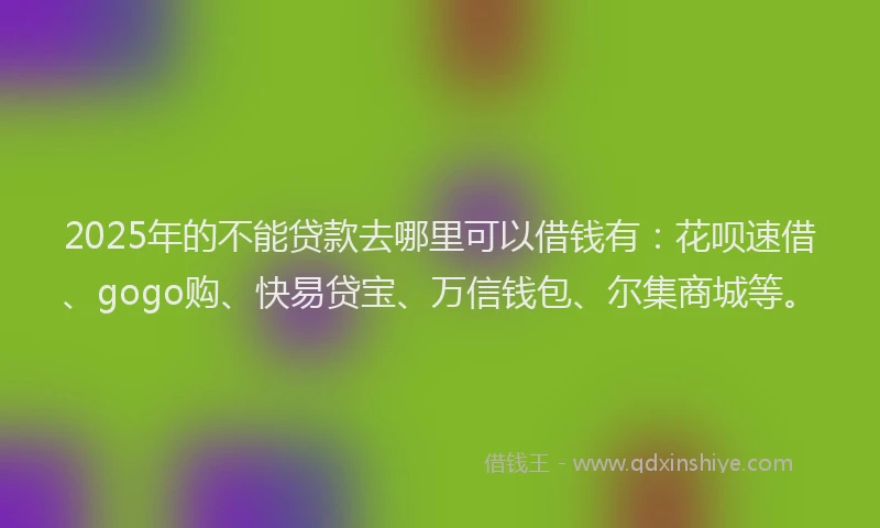 2025年的不能贷款去哪里可以借钱有：花呗速借、gogo购、快易贷宝、万信钱包、尔集商城等。