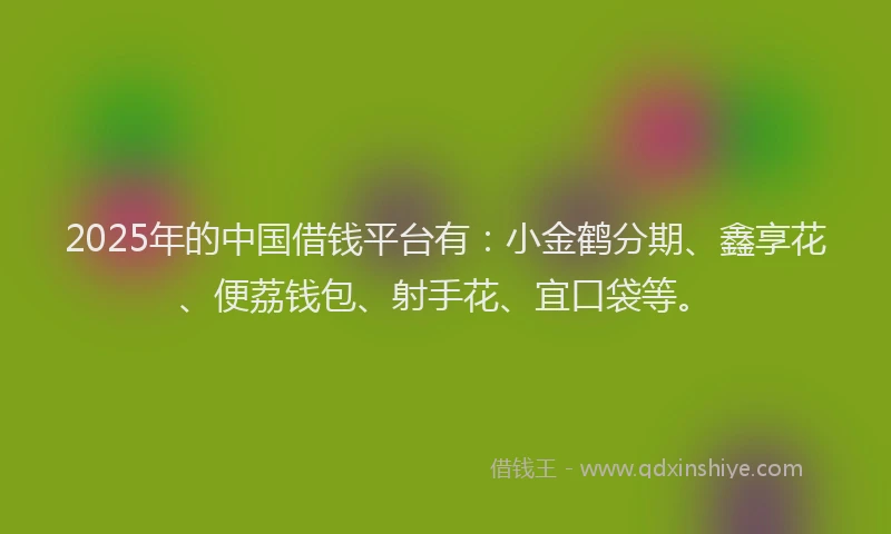 2025年的中国借钱平台有：小金鹤分期、鑫享花、便荔钱包、射手花、宜口袋等。