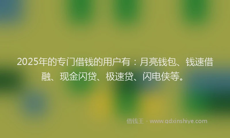 2025年的专门借钱的用户有：月亮钱包、钱速借融、现金闪贷、极速贷、闪电侠等。