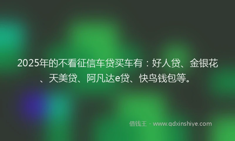 2025年的不看征信车贷买车有：好人贷、金银花、天美贷、阿凡达e贷、快鸟钱包等。