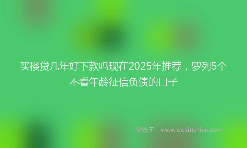 买楼贷几年好下款吗现在2025年推荐，罗列5个不看年龄征信负债的口子