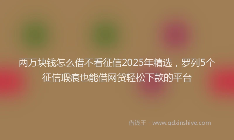 两万块钱怎么借不看征信2025年精选，罗列5个征信瑕疵也能借网贷轻松下款的平台
