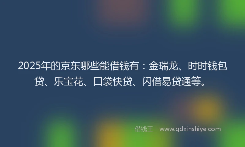 2025年的京东哪些能借钱有：金瑞龙、时时钱包贷、乐宝花、口袋快贷、闪借易贷通等。