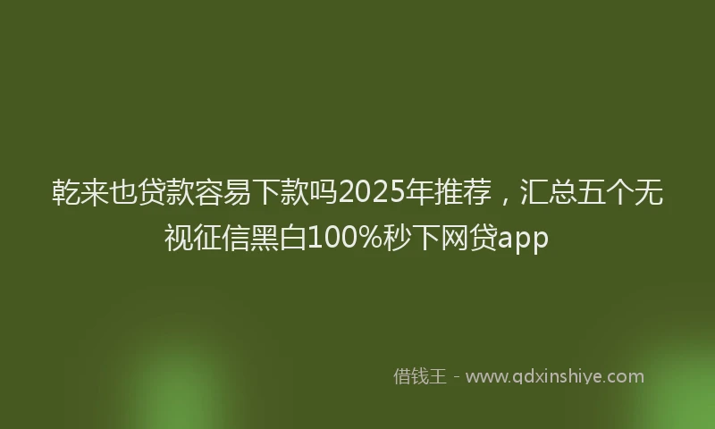 乾来也贷款容易下款吗2025年推荐，汇总五个无视征信黑白100%秒下网贷app