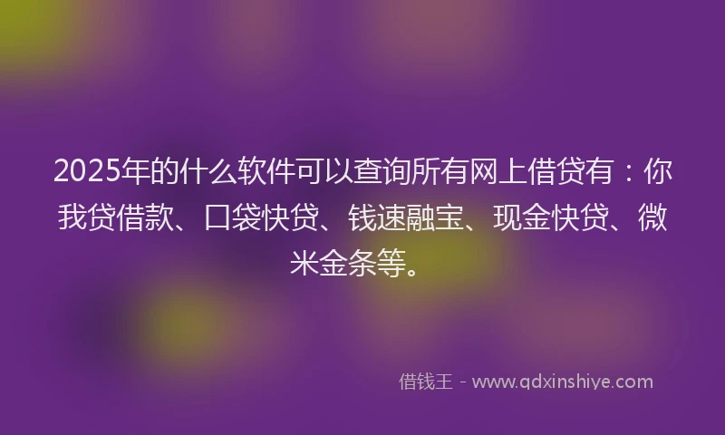 2025年的什么软件可以查询所有网上借贷有：你我贷借款、口袋快贷、钱速融宝、现金快贷、微米金条等。