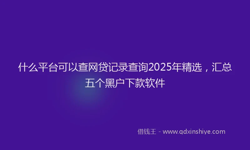 什么平台可以查网贷记录查询2025年精选，汇总五个黑户下款软件