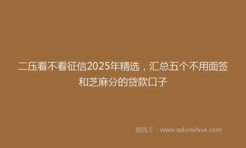 二压看不看征信2025年精选，汇总五个不用面签和芝麻分的贷款口子
