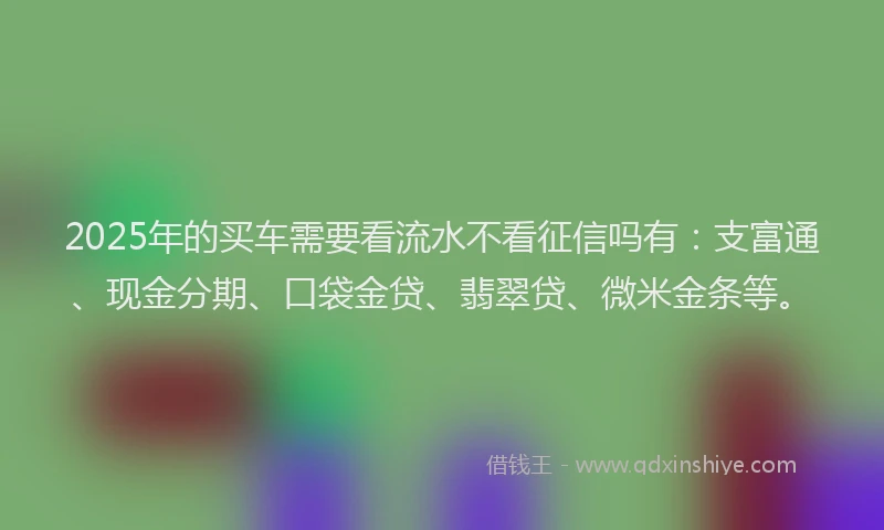 2025年的买车需要看流水不看征信吗有：支富通、现金分期、口袋金贷、翡翠贷、微米金条等。