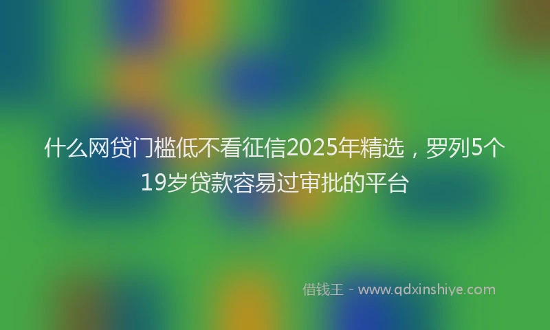 什么网贷门槛低不看征信2025年精选，罗列5个19岁贷款容易过审批的平台