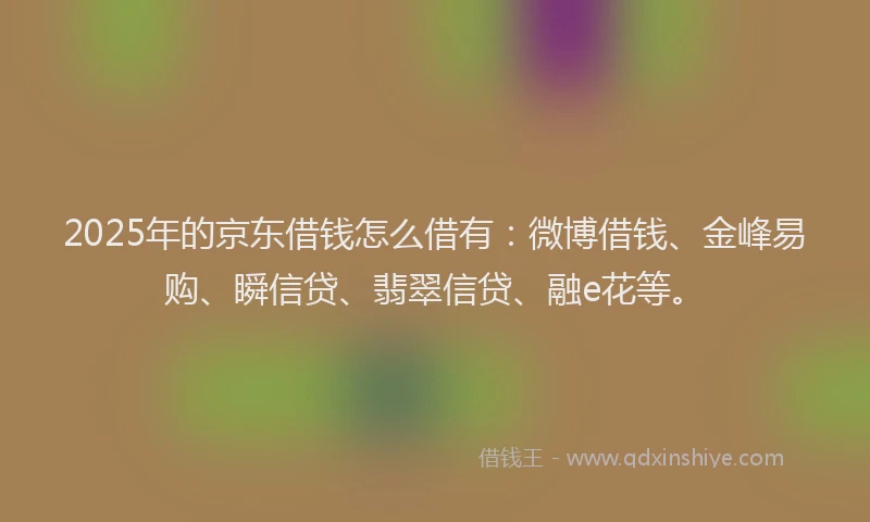 2025年的京东借钱怎么借有：微博借钱、金峰易购、瞬信贷、翡翠信贷、融e花等。