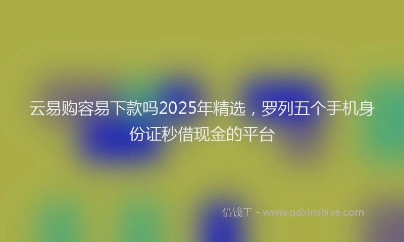 云易购容易下款吗2025年精选，罗列五个手机身份证秒借现金的平台