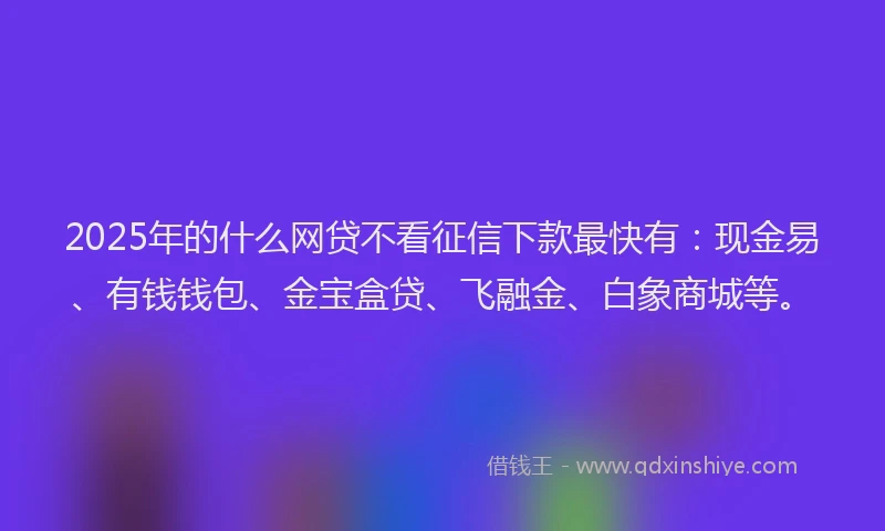 2025年的什么网贷不看征信下款最快有：现金易、有钱钱包、金宝盒贷、飞融金、白象商城等。