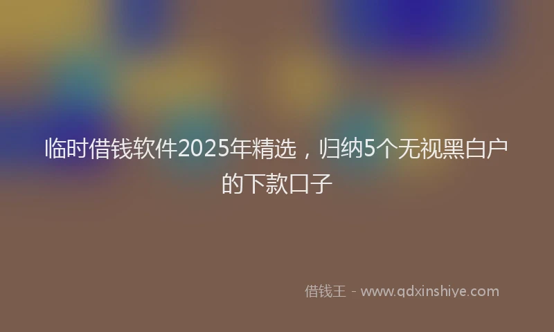 临时借钱软件2025年精选，归纳5个无视黑白户的下款口子