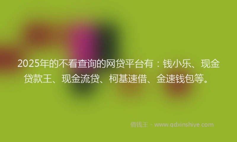 2025年的不看查询的网贷平台有：钱小乐、现金贷款王、现金流贷、柯基速借、金速钱包等。