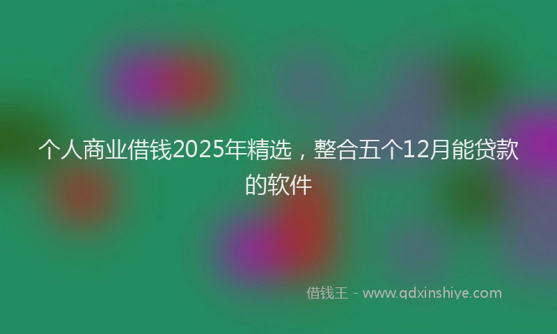 个人商业借钱2025年精选，整合五个12月能贷款的软件