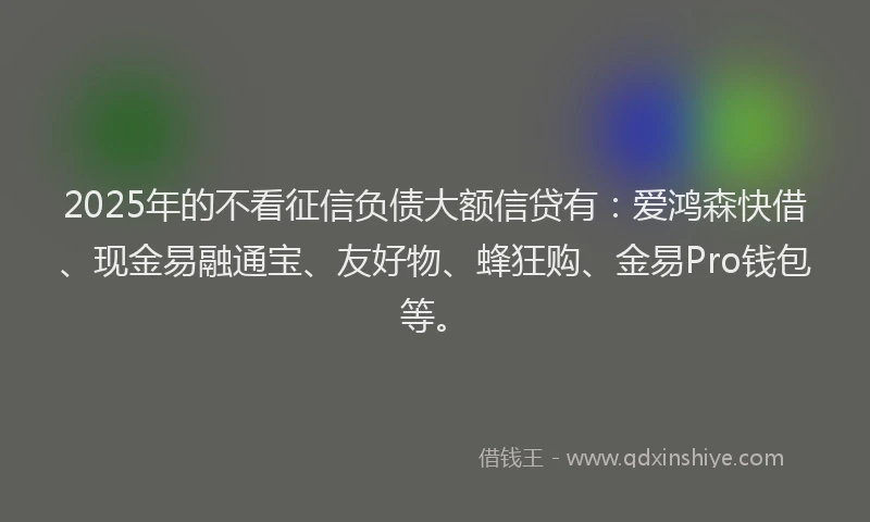 2025年的不看征信负债大额信贷有：爱鸿森快借、现金易融通宝、友好物、蜂狂购、金易Pro钱包等。