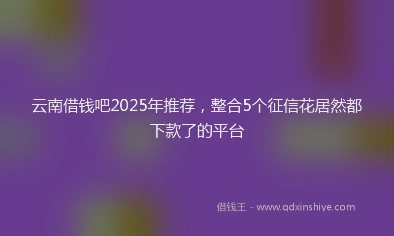 云南借钱吧2025年推荐，整合5个征信花居然都下款了的平台
