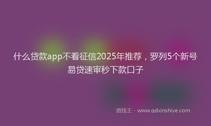 什么贷款app不看征信2025年推荐，罗列5个新号易贷速审秒下款口子