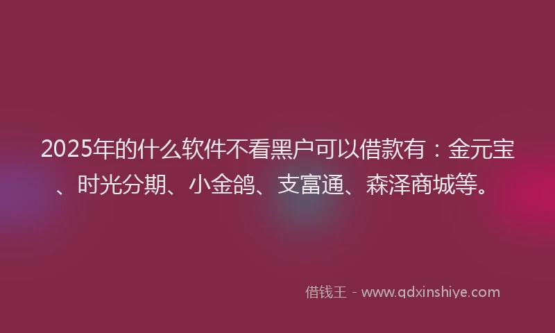 2025年的什么软件不看黑户可以借款有：金元宝、时光分期、小金鸽、支富通、森泽商城等。