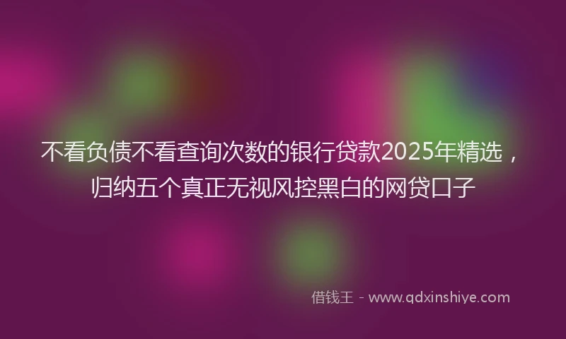 不看负债不看查询次数的银行贷款2025年精选，归纳五个真正无视风控黑白的网贷口子