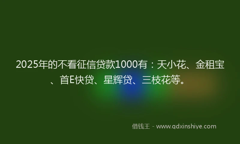 2025年的不看征信贷款1000有：天小花、金租宝、首E快贷、星辉贷、三枝花等。