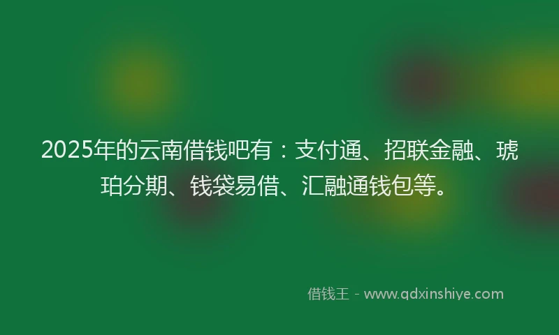 2025年的云南借钱吧有：支付通、招联金融、琥珀分期、钱袋易借、汇融通钱包等。