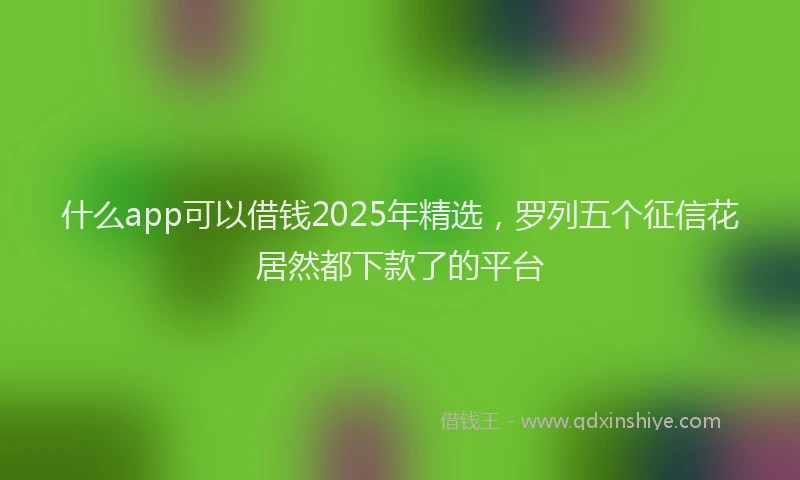 什么app可以借钱2025年精选，罗列五个征信花居然都下款了的平台