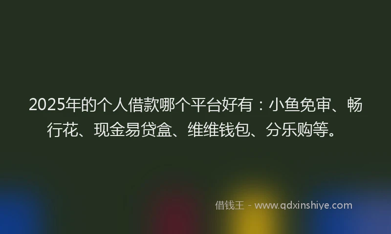 2025年的个人借款哪个平台好有：小鱼免审、畅行花、现金易贷盒、维维钱包、分乐购等。